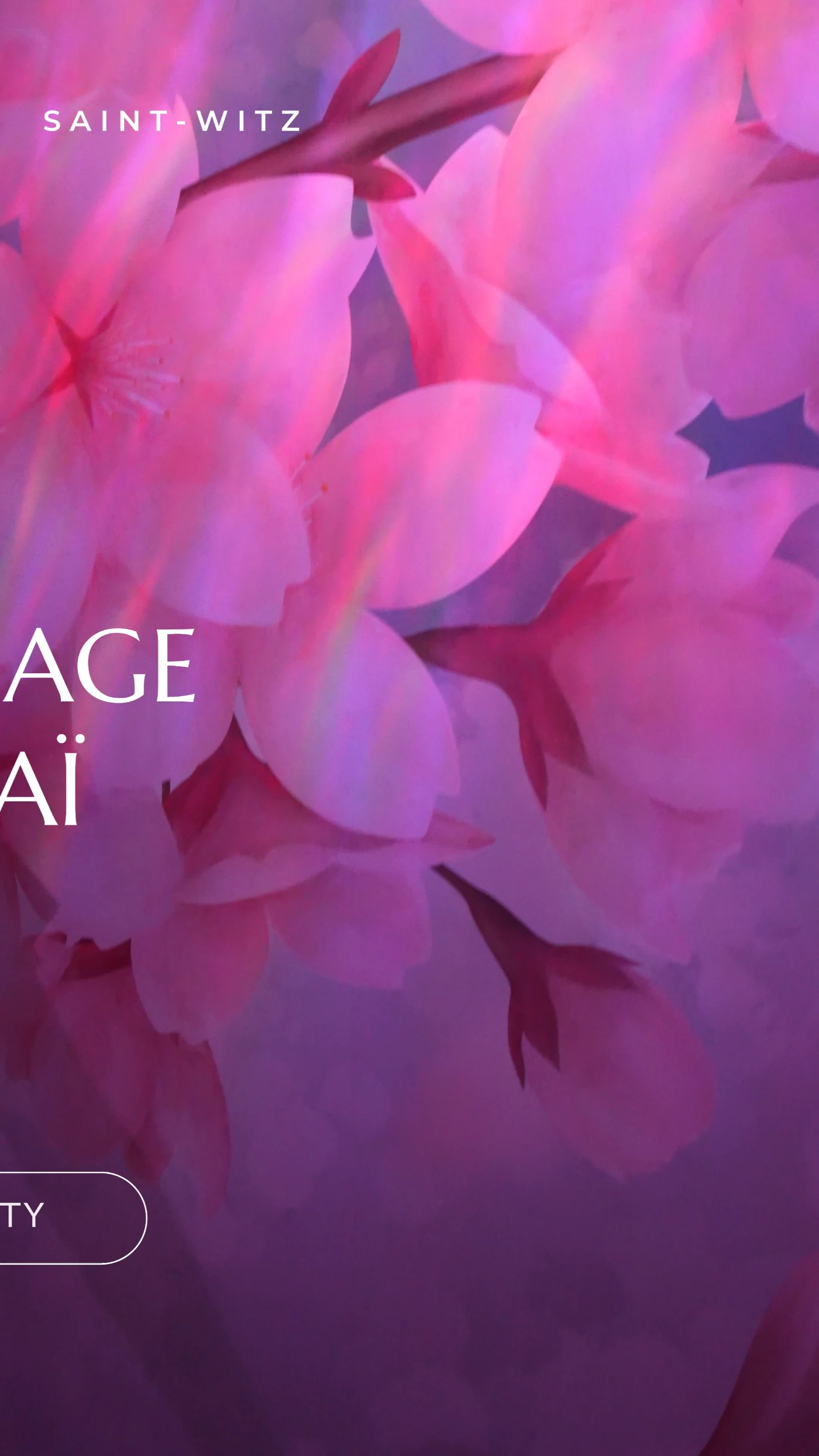 Douce Évasion – Massage Thaï — aperçu du projet